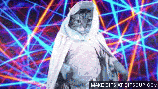 rave-gif-6.gif