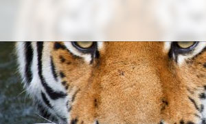 screenshot2.jpg