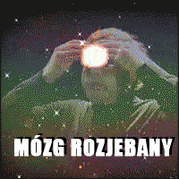 pre_1323398387__mozg_rozjebany.gif