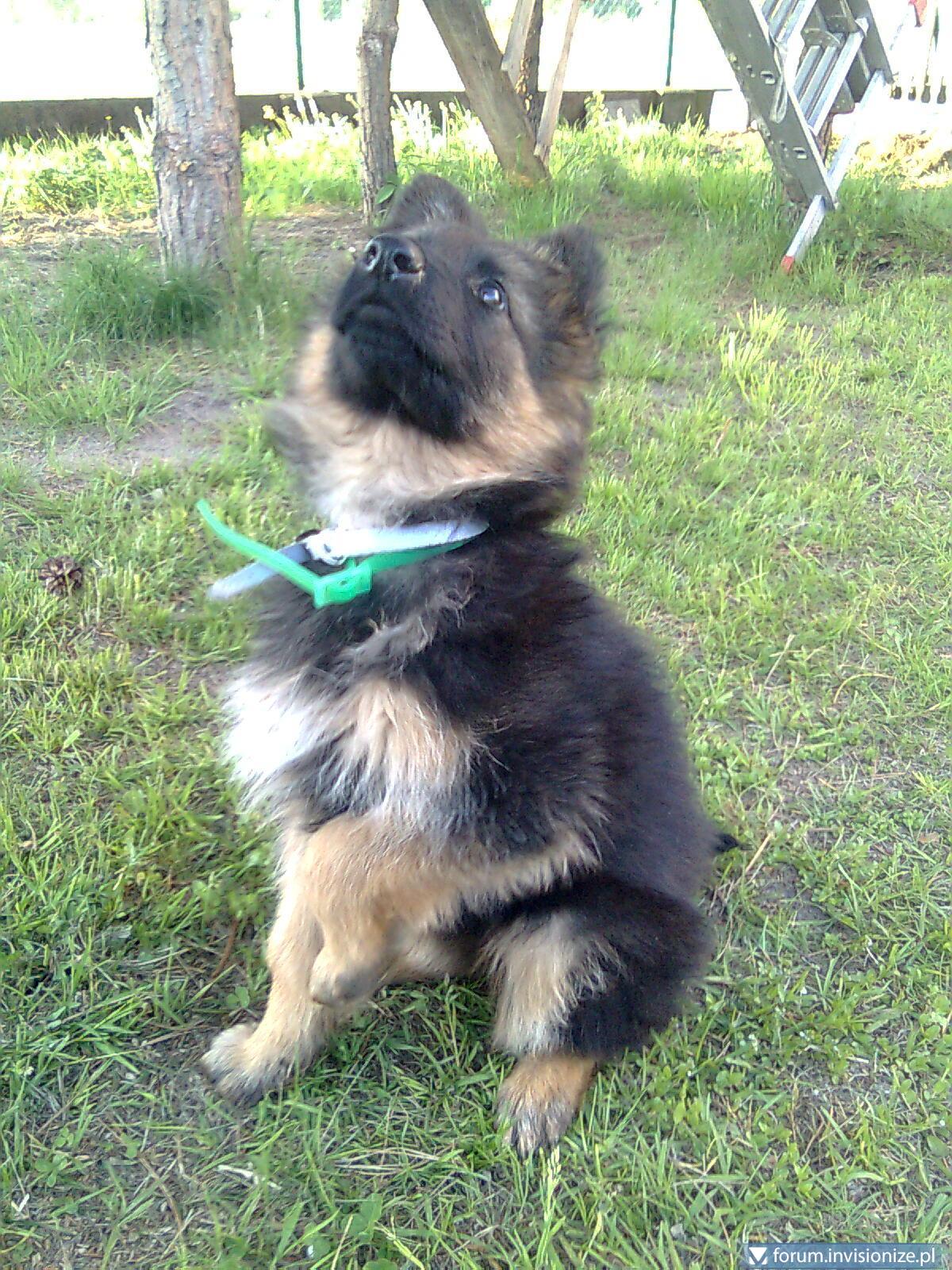 blogentry-326-0-34285600-1306257272_thum