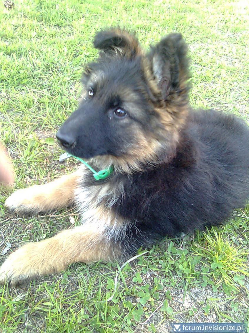 blogentry-326-0-85823500-1306257534_thum