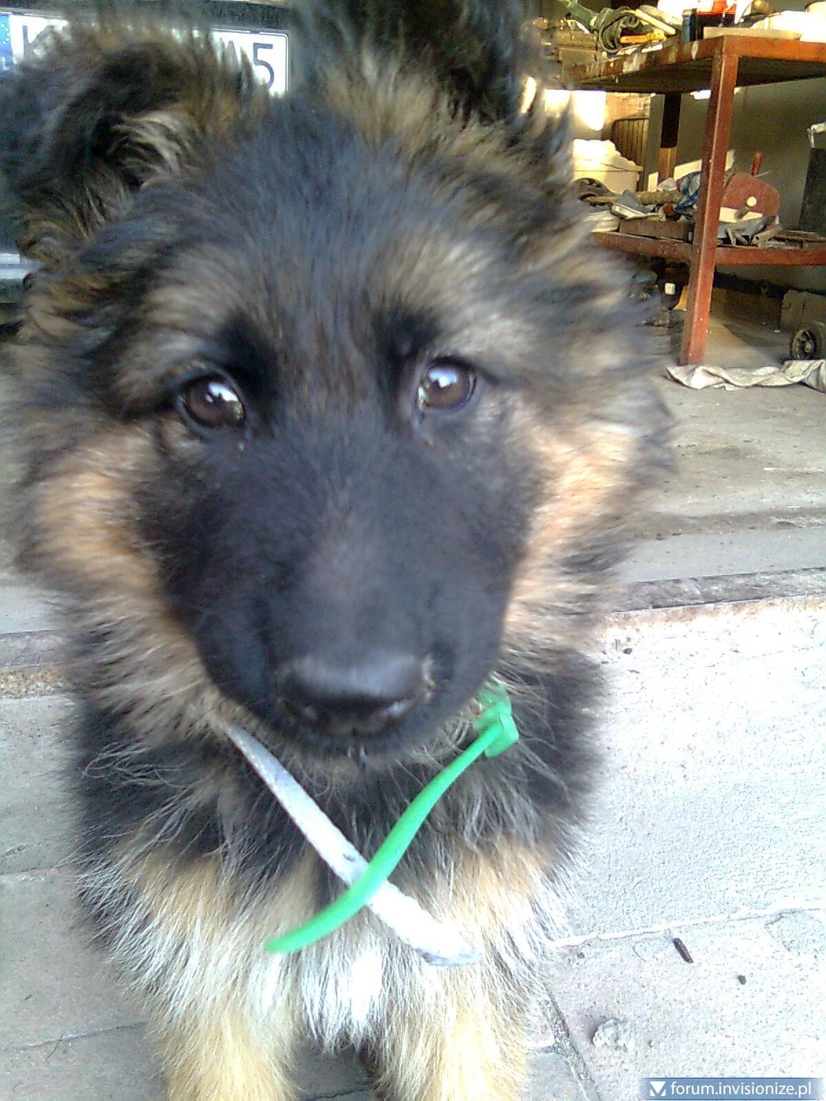 blogentry-326-0-98874500-1306257266_thum